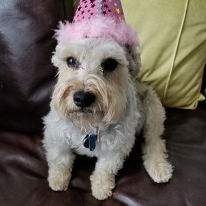 Meet your Posher, Doris